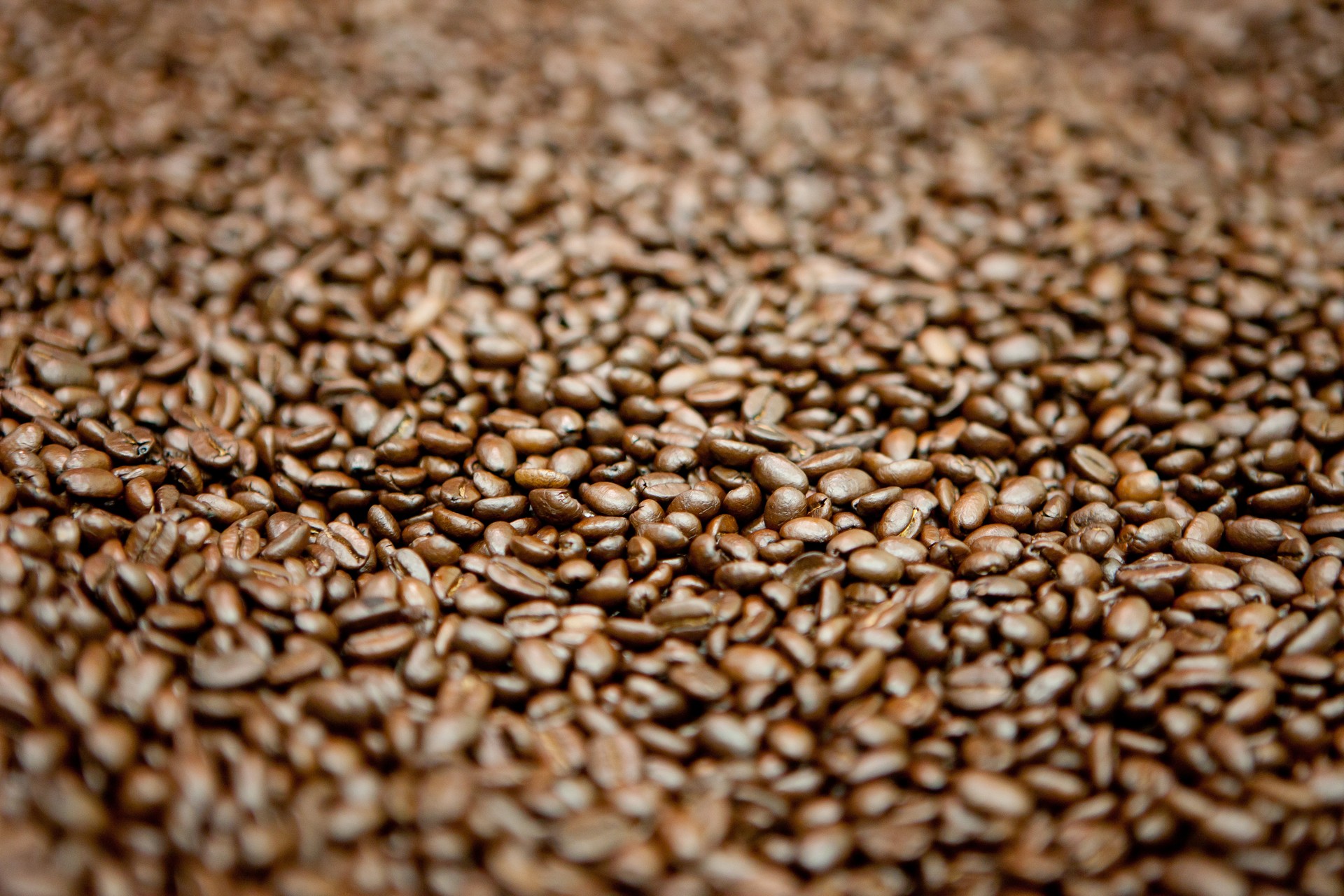 Saltspring Coffee Roasting Facility - OGQ Backgrounds HD
