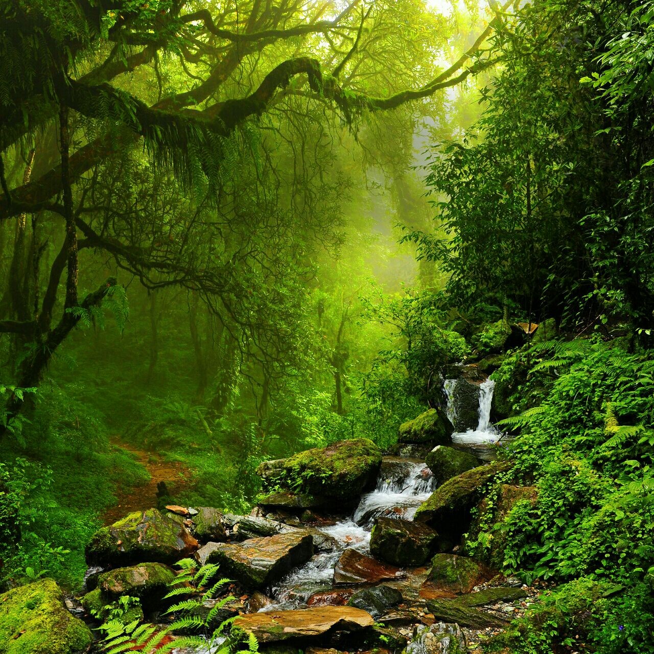 Naturel OGQ Backgrounds HD