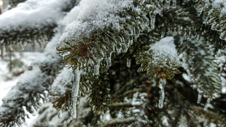 rain snow