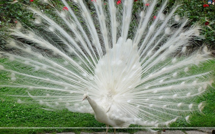 so beautiful...