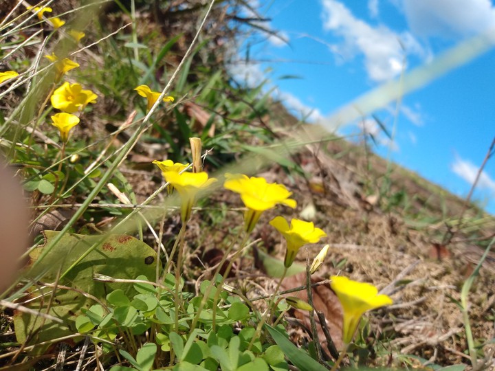natureza