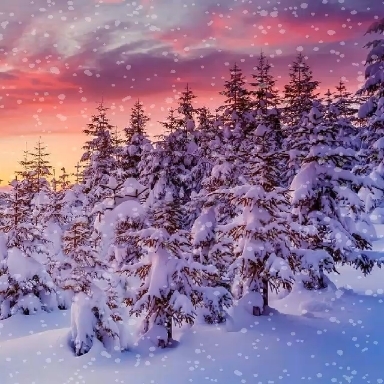Nature ❄️❄️❄️