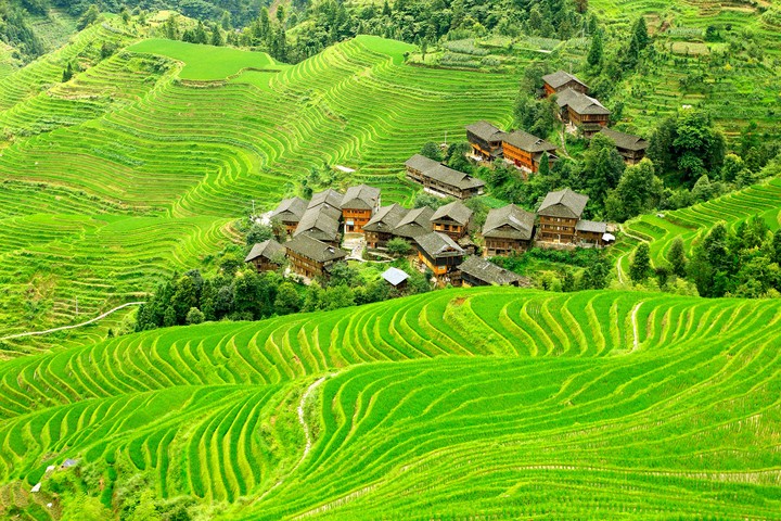 nature