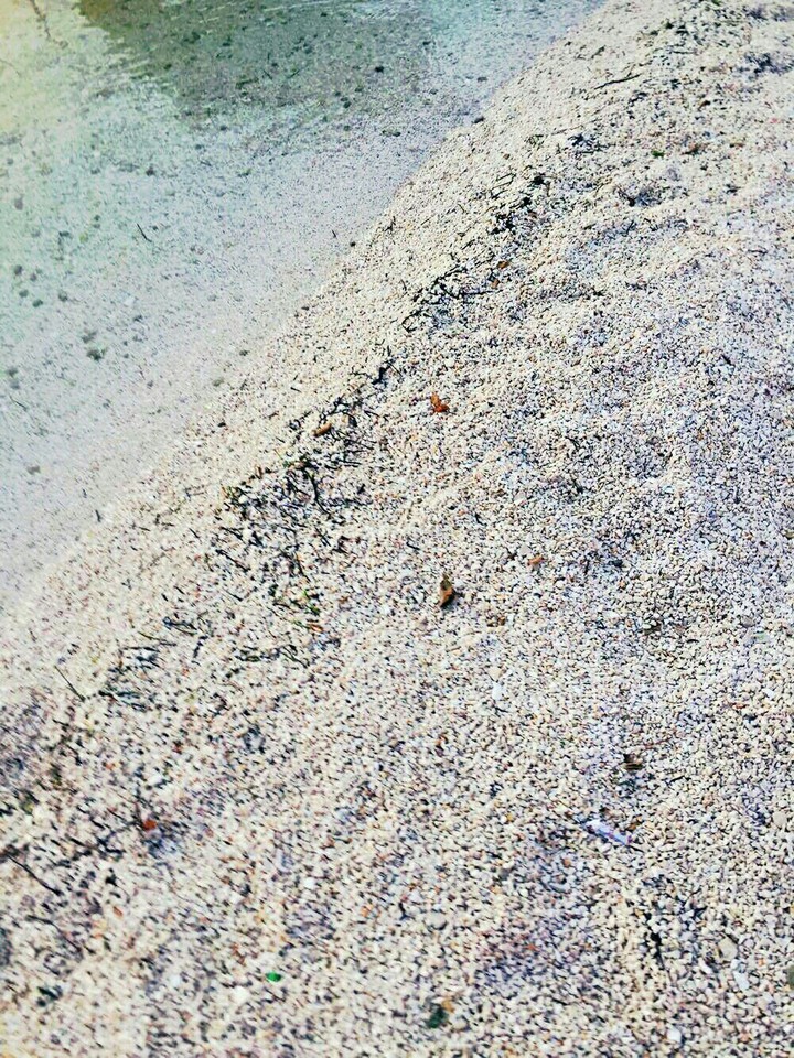 Sand