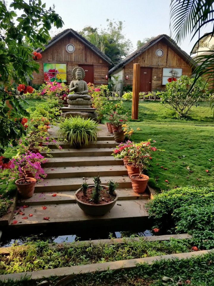 Peace, Solace with Nature