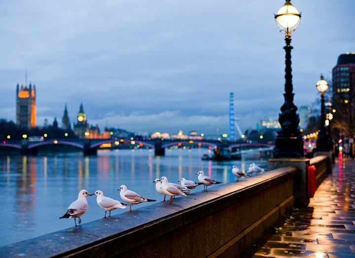 london