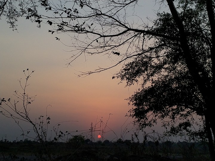 sunset