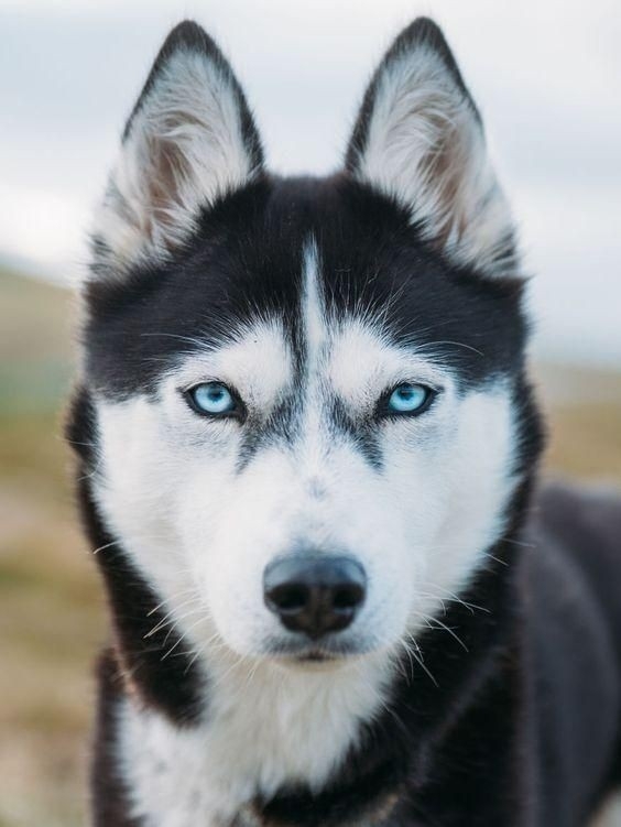 ?