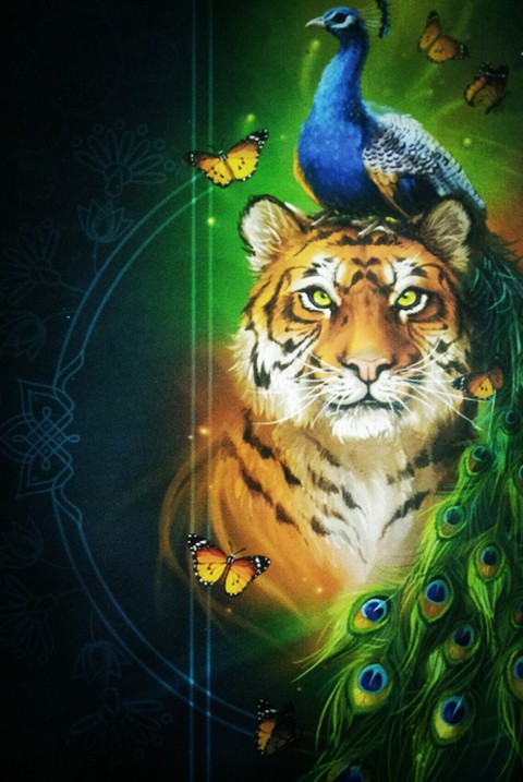 Animal