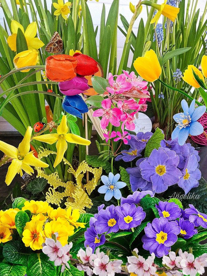 Garten Blumen