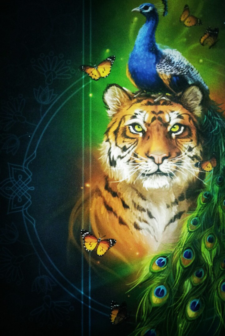 Animal