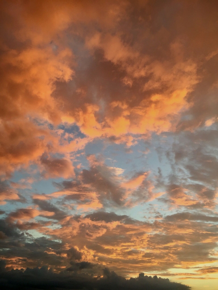 Golden sky