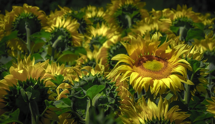 ☺️☺️☺️