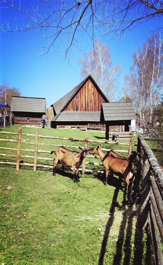 Countryside