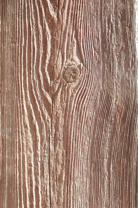 Concepts