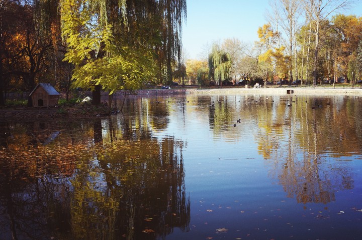 autumn