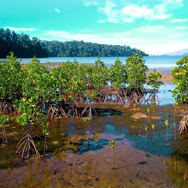 somewhere at sasmuan