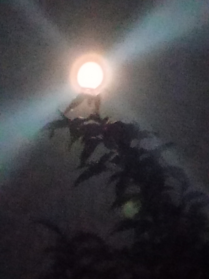 moon
