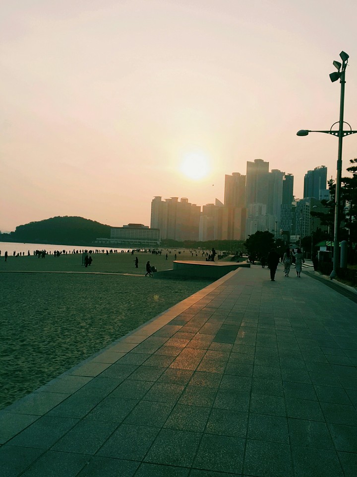 주황해.