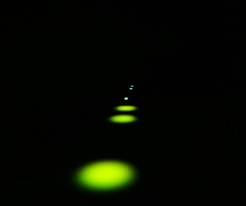 green lights