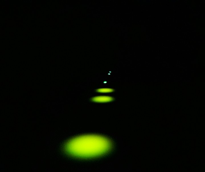 green lights