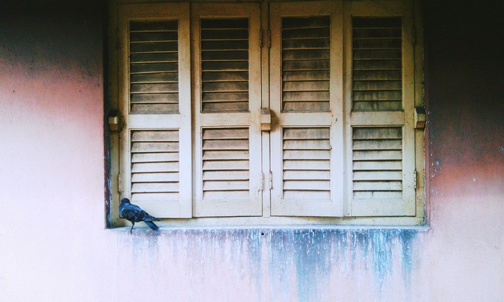 solitary