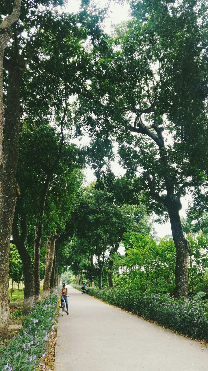 con đường tôi đi