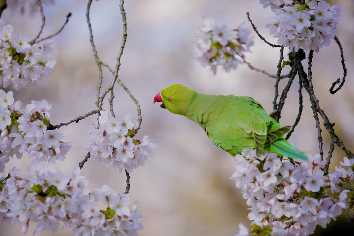 ✤❇️✤