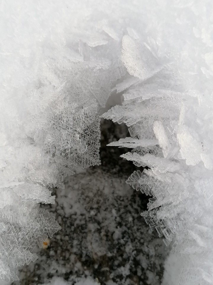snow