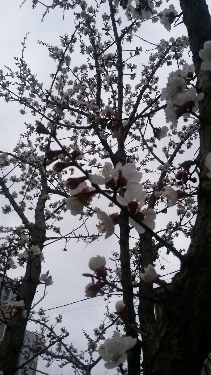 photo by me)))
