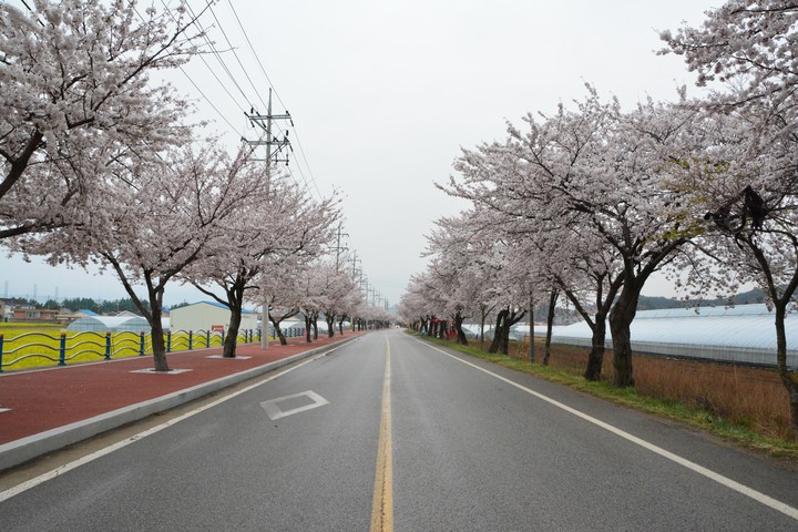풍경이미지