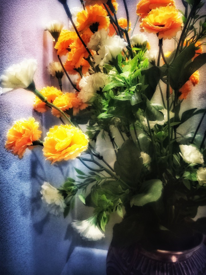 dreamy flowers