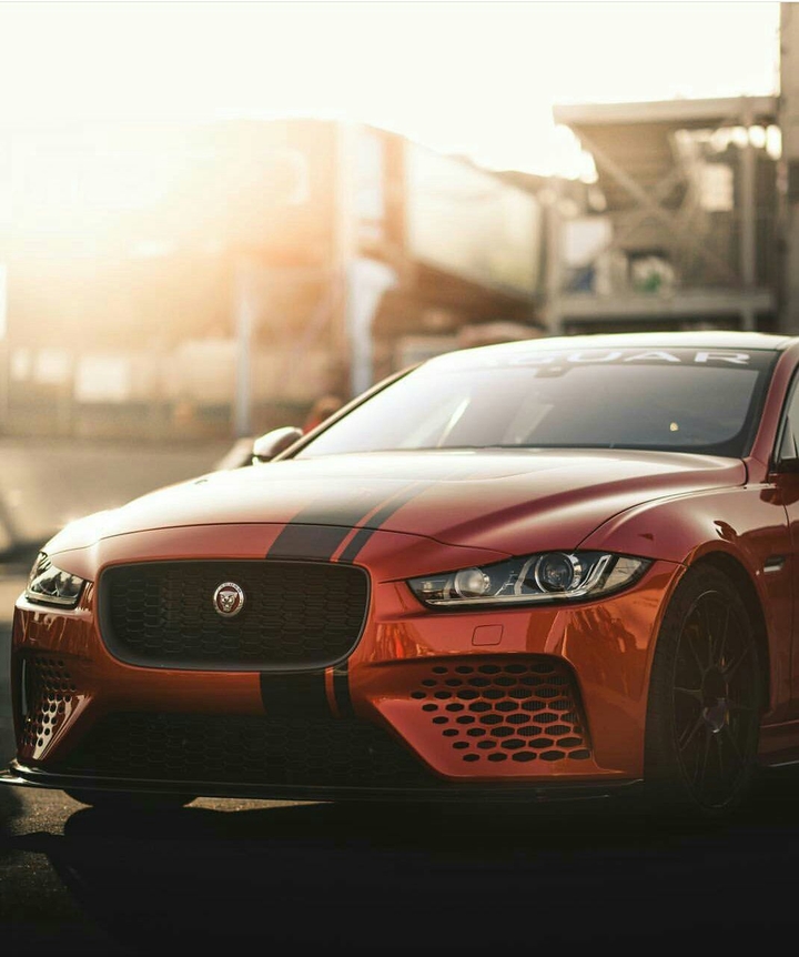 jaguar