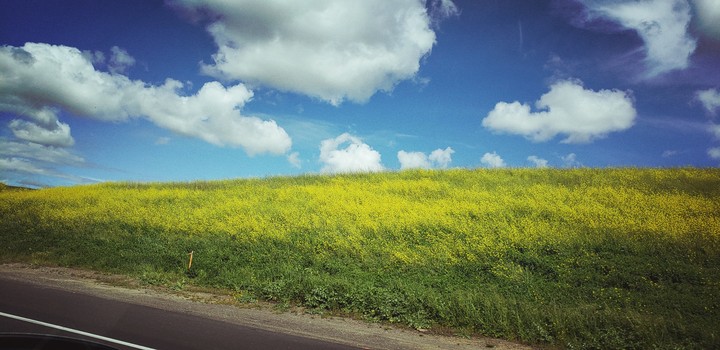 Cali spring 2