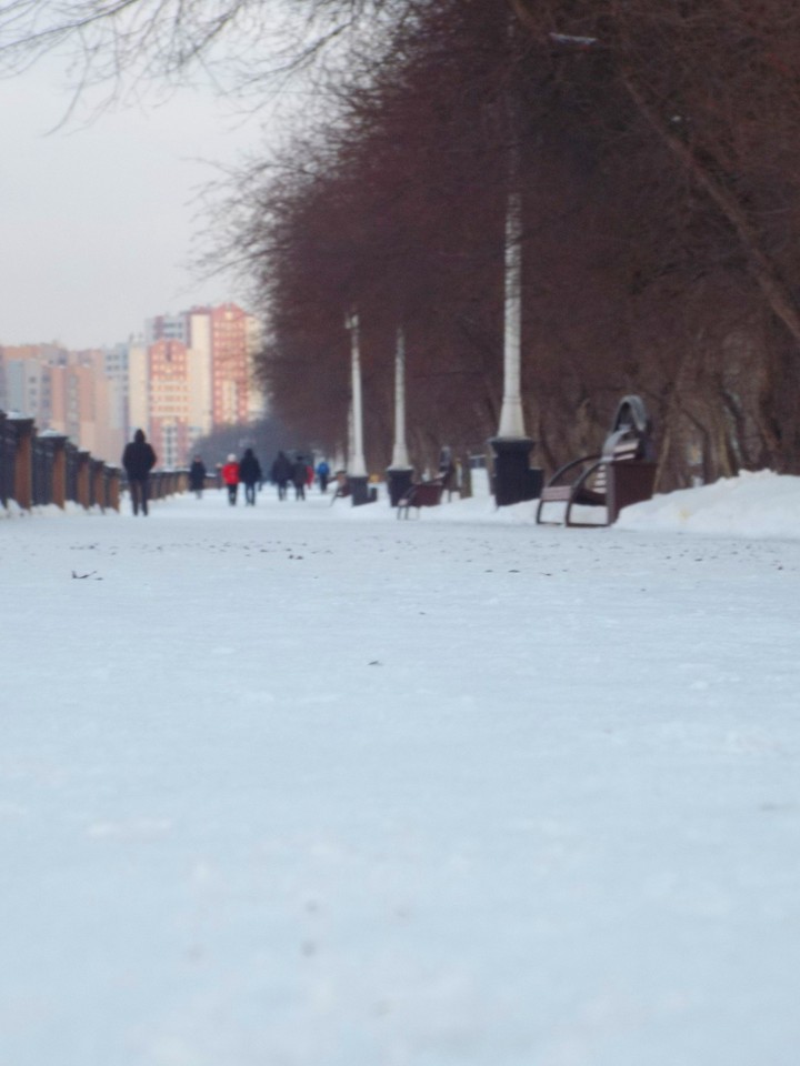 winter landscape