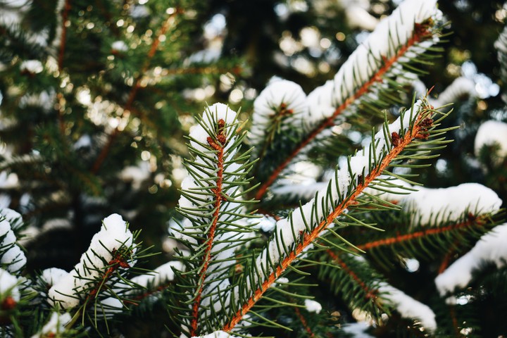 First snow