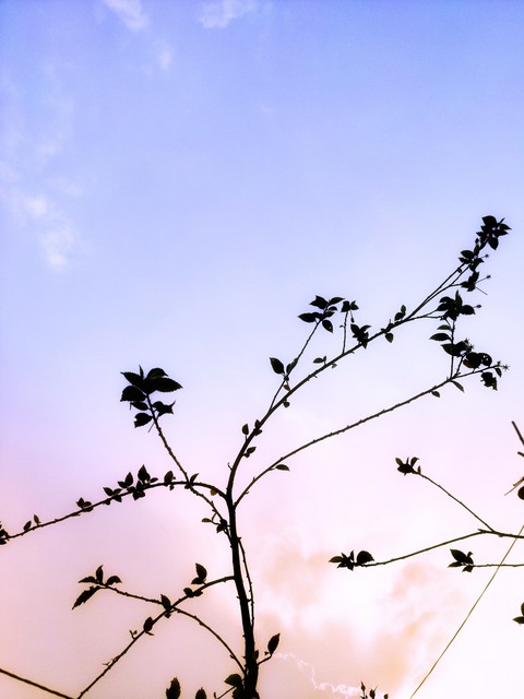 beautiful evening