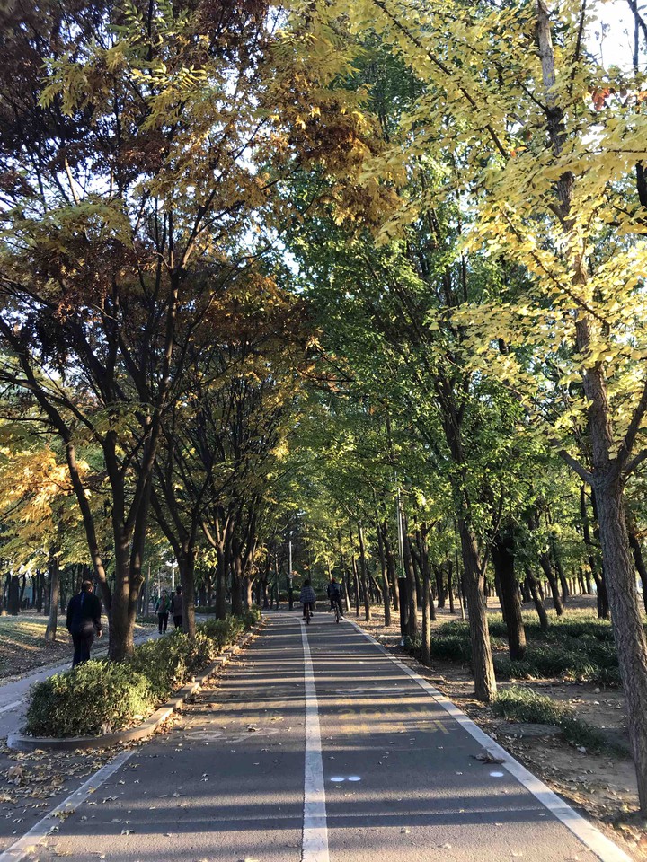 가을