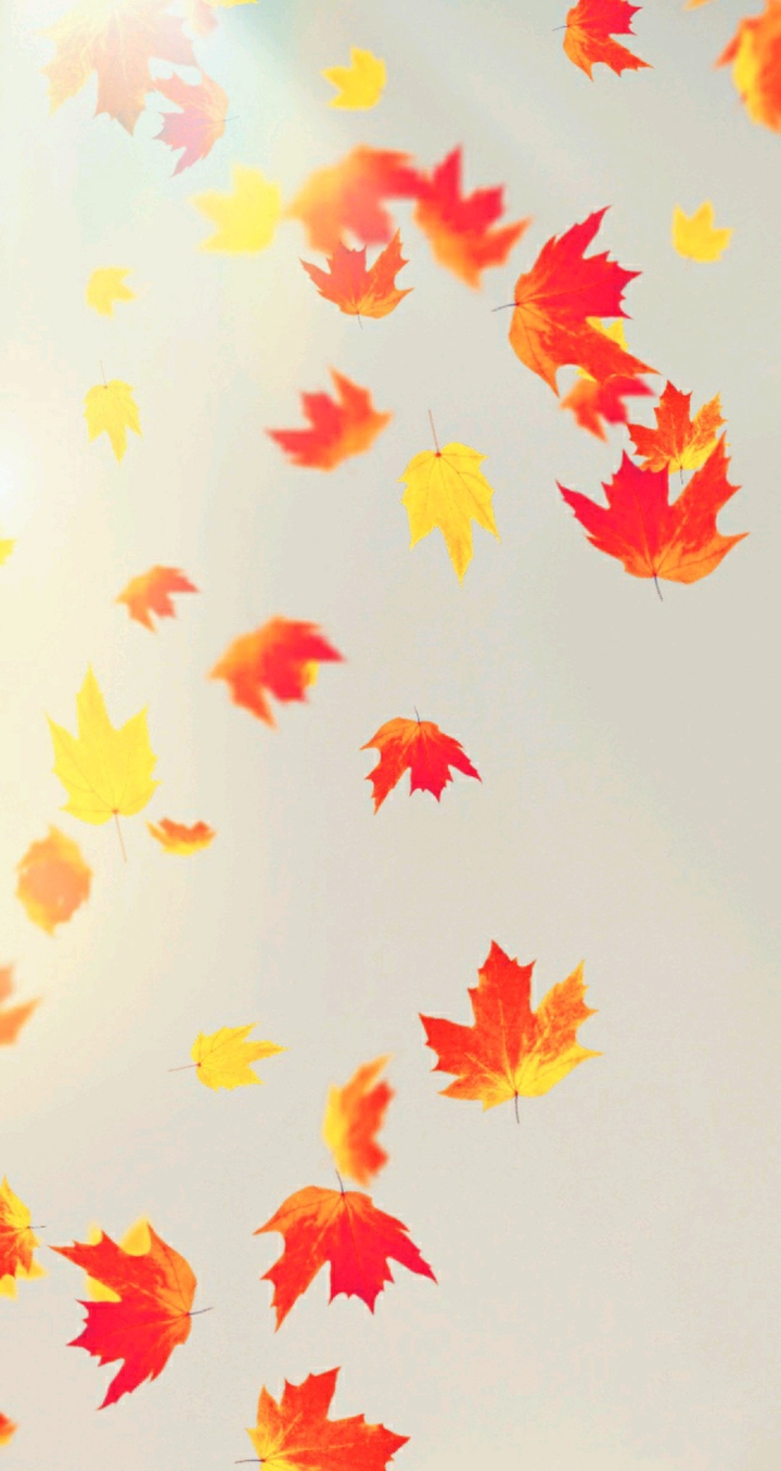 leaves