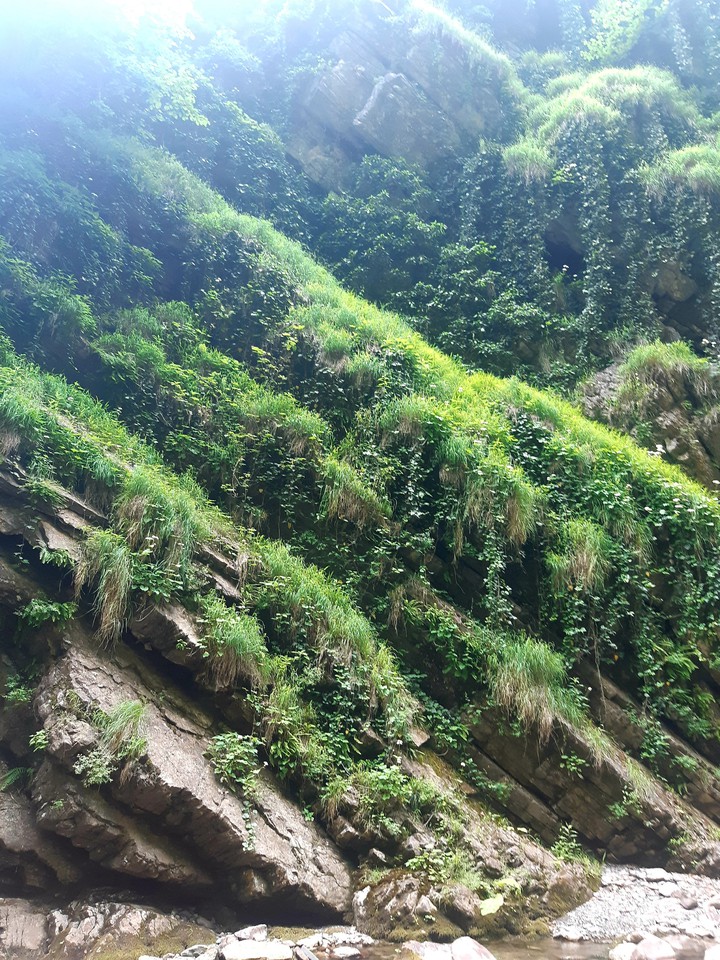 caucasus