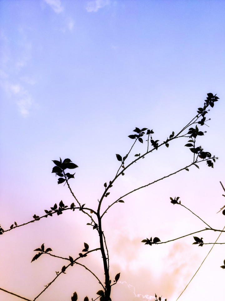 beautiful evening