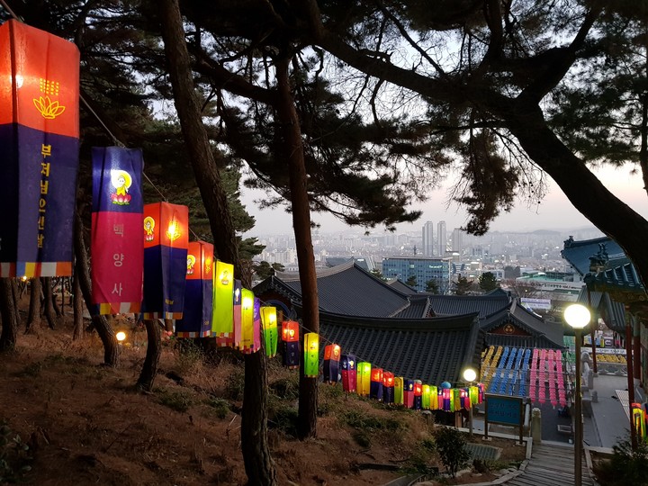 백양사