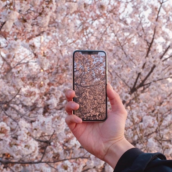 spring