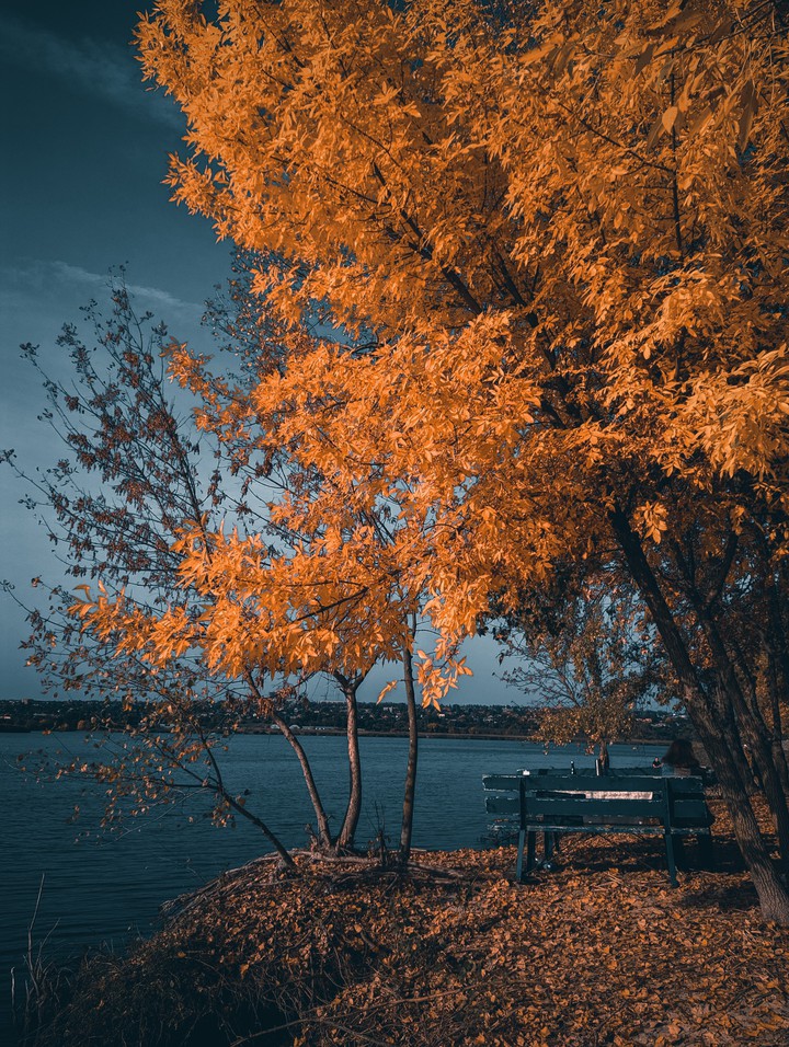 autumn