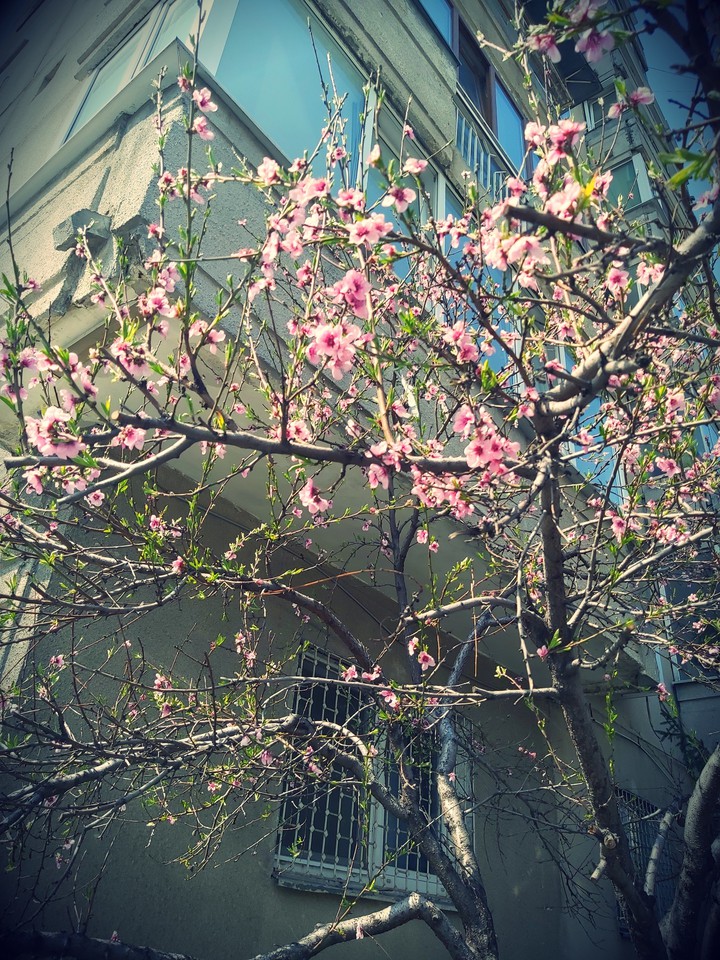 Spring comes to life