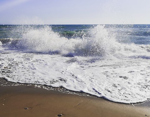 Sea?