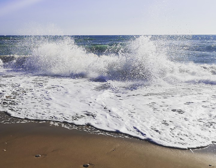 Sea?
