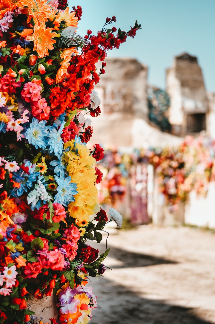Flowers