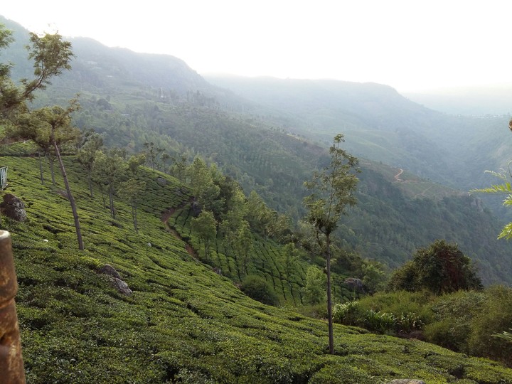 munnar