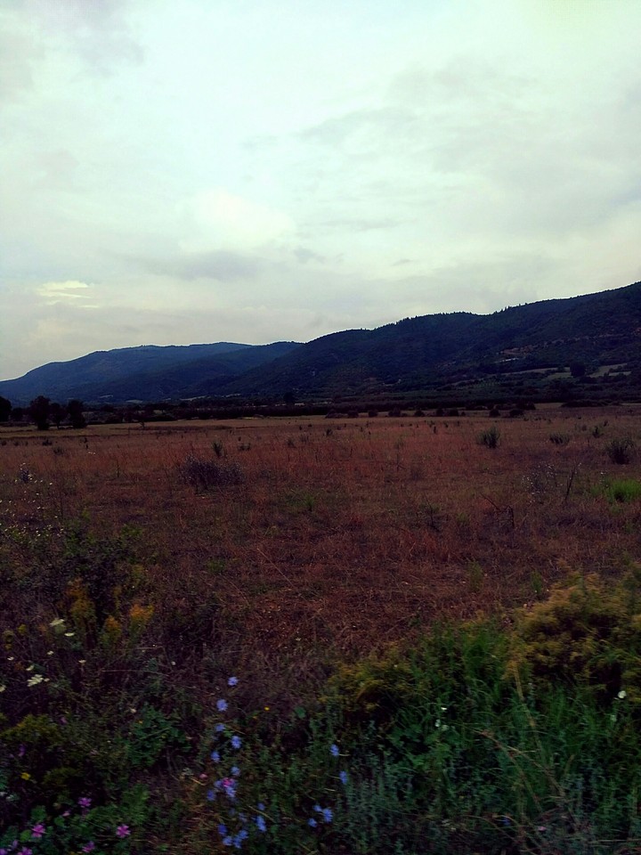 nature